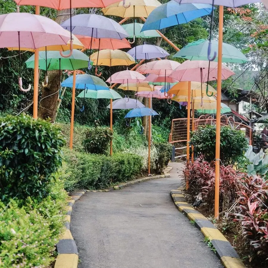 barusen hill ciwidey
